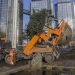 What to Look Out for When Hiring a Tree Service Provider